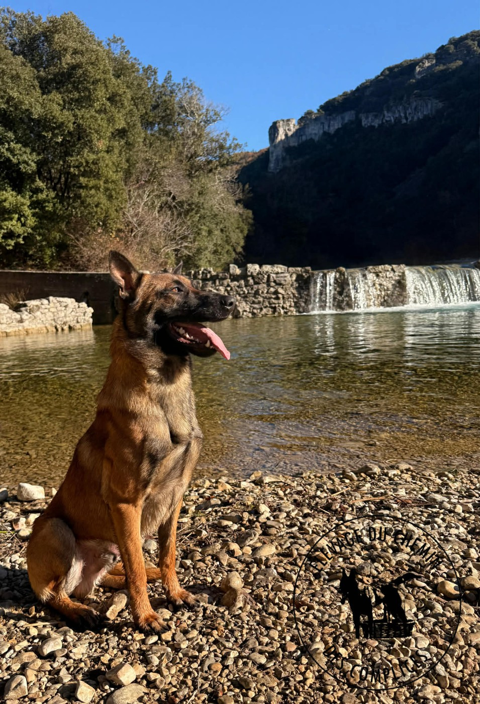 Varegue Du Chemin Des Complices